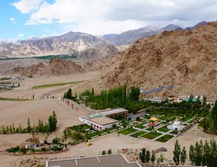 The World Caters to Average People